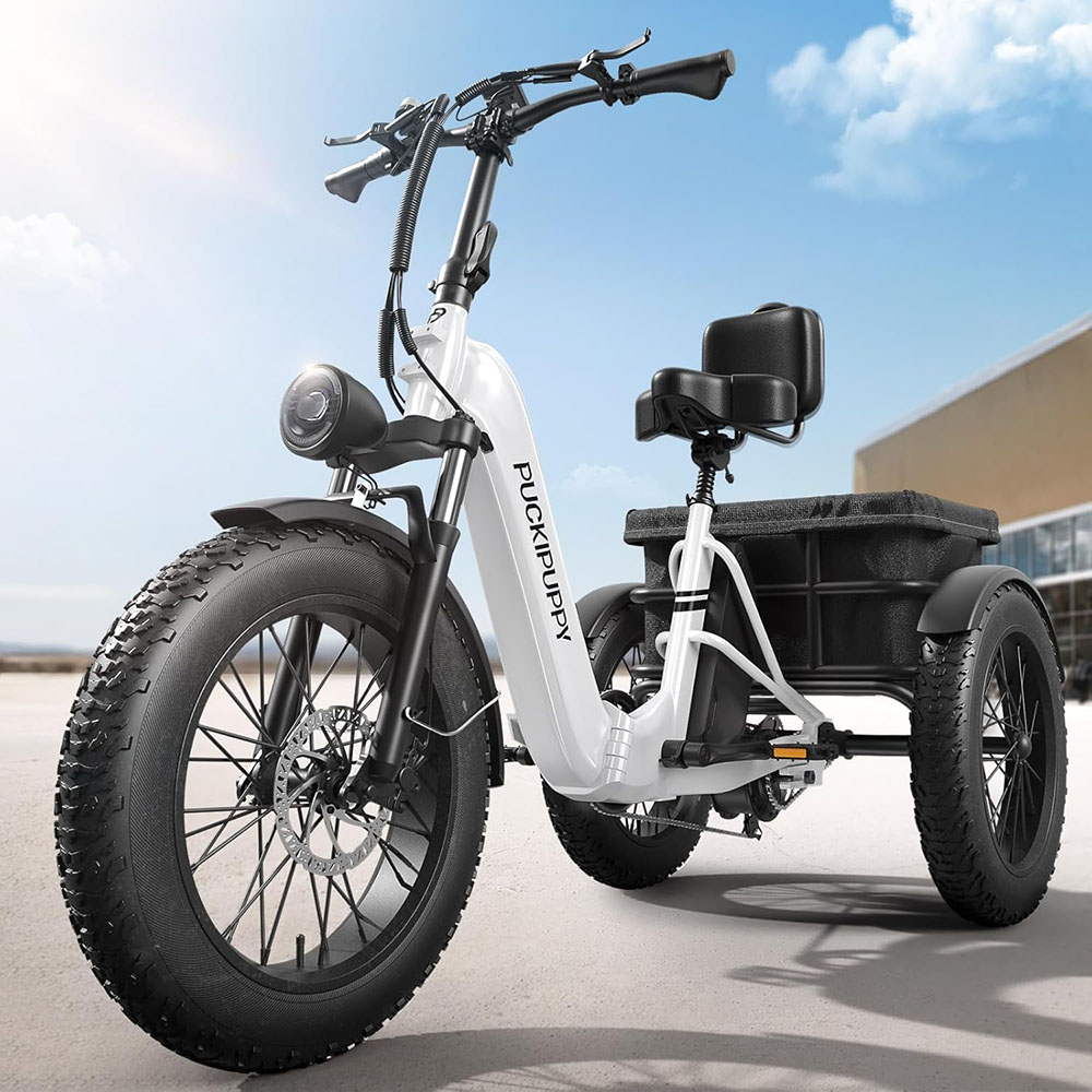 Electric Fat Trike 48V 1000W snowmobile Electric three-wheeled fat ebike 20-24inch