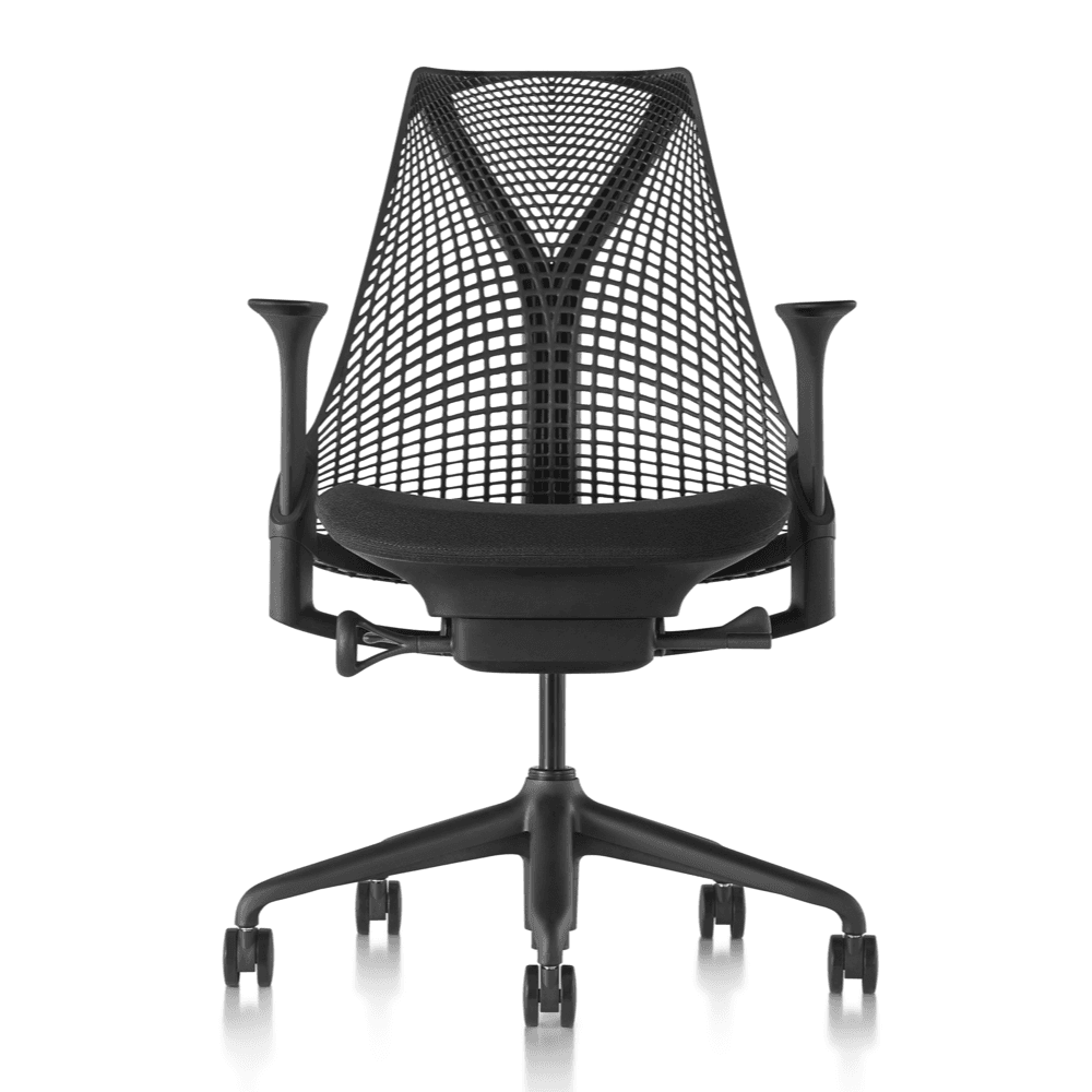 Herman Miller say Ergonomic Chair