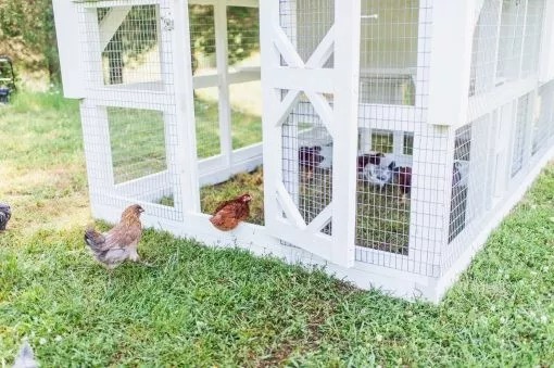 Large Fairy Tale Town Chicken House