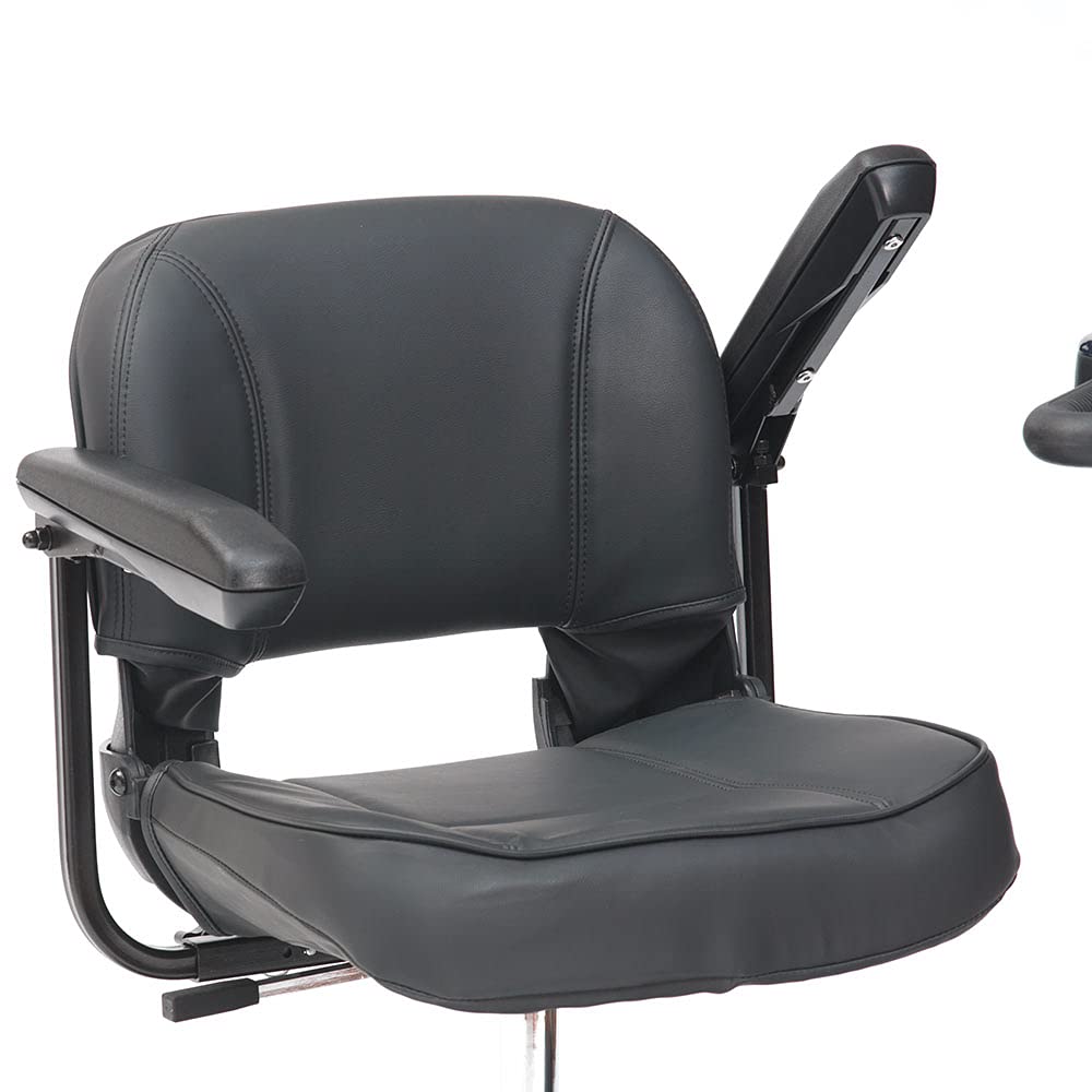 Electric scooter with portable travel case