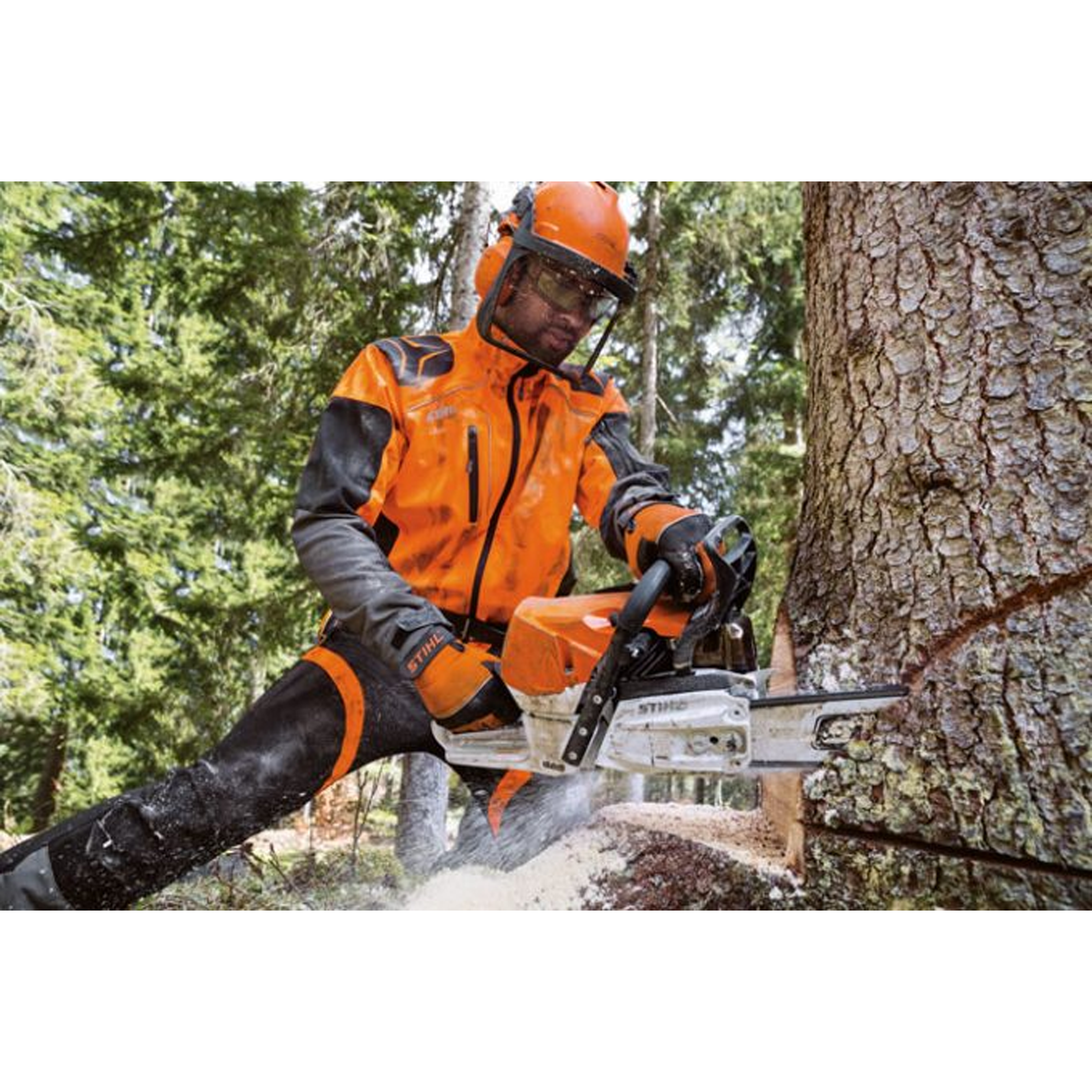 STIHL MS 462 Professional Chainsaw with 25 Inch bar and chain